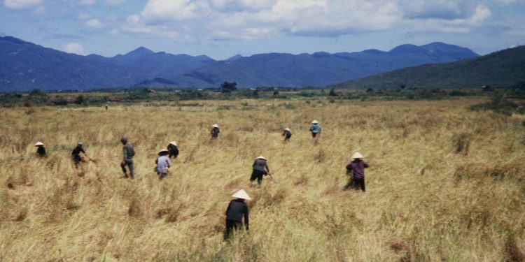 Nghe nhạc: bài hát Nắng Đẹp Miền Nam (Lam Phương & Hồ Đình Phương)