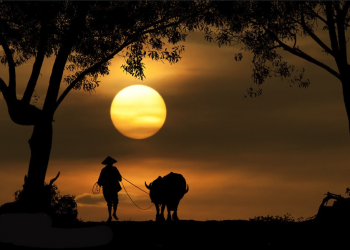 Nghe nhạc: bài hát Trăng Thanh Bình (Lam Phương)