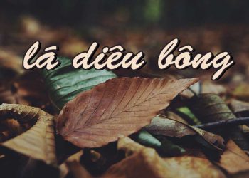 Sự tích về “Lá Diêu Bông” trong thơ – nhạc, và mối tình “chị – em” của thi sĩ Hoàng Cầm