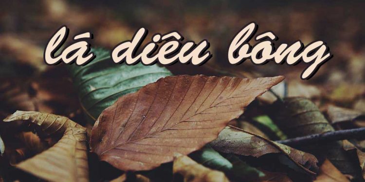 Sự tích về “Lá Diêu Bông” trong thơ – nhạc, và mối tình “chị – em” của thi sĩ Hoàng Cầm
