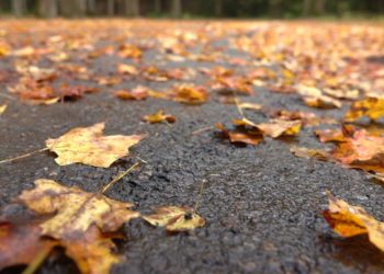 Trời sắp Tết hay lòng mình đang Tết?