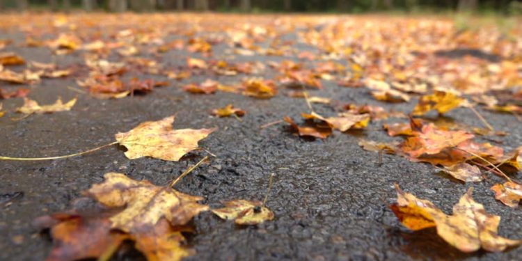 Trời sắp Tết hay lòng mình đang Tết?