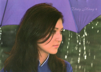 Hiện tượng ca sĩ Thúy Hằng và Cô Lái Đò Bến Hạ