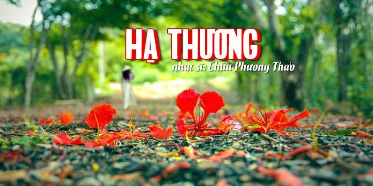 Tác giả thật sự của ca khúc “Hạ Thương”: Hạ ơi, ta xa nhau mấy mùa phượng rồi…