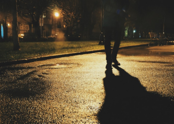 Ý nghĩa và hoàn cảnh sáng tác của bài hát Mèo Hoang (Hàn Châu): ‘Có phải em về trong đêm nay…’