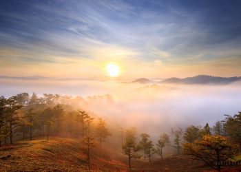 Câu chuyện về bài hát “Hoài Thu” của Văn Trí, ca khúc duy nhất được phổ từ… tùy bút