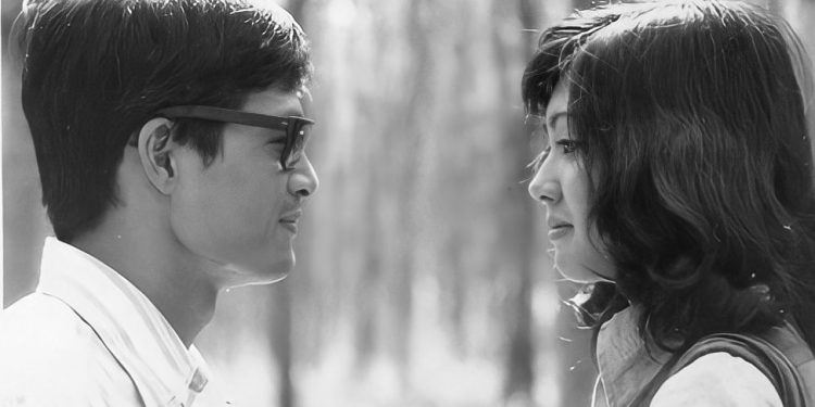 Những tấm ảnh thời xuân sắc của ca sĩ Họa Mi