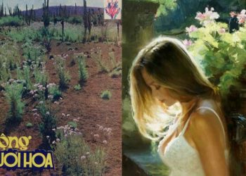 Hoàn cảnh sáng tác và cảm nhận về ca khúc “Mộng Dưới Hoa” (Đinh Hùng – Phạm Đình Chương): “Mắt xanh lả bóng dừa hoang dại…”