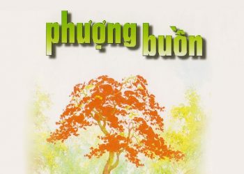 Nhạc sĩ Tuấn Hải và ca khúc “Phượng Buồn”: Anh đến với em vào một ngày trời đẹp nắng…