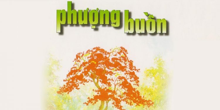 Nhạc sĩ Tuấn Hải và ca khúc “Phượng Buồn”: Anh đến với em vào một ngày trời đẹp nắng…