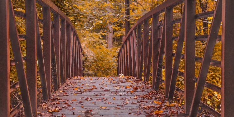 Hoàn cảnh sáng tác bài hát bất tử “Mùa Thu Không Trở Lại” của nhạc sĩ Phạm Trọng