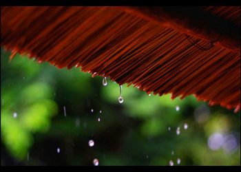 Cảm nhận âm nhạc: Ướt Mi – Những giọt buồn trong mưa