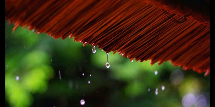 Cảm nhận âm nhạc: Ướt Mi – Những giọt buồn trong mưa