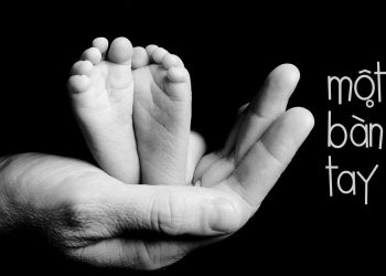 Ý nghĩa của bài hát “Một Bàn Tay” (nhạc sĩ Phạm Duy): “Bàn tay đưa anh ra khỏi lòng người”