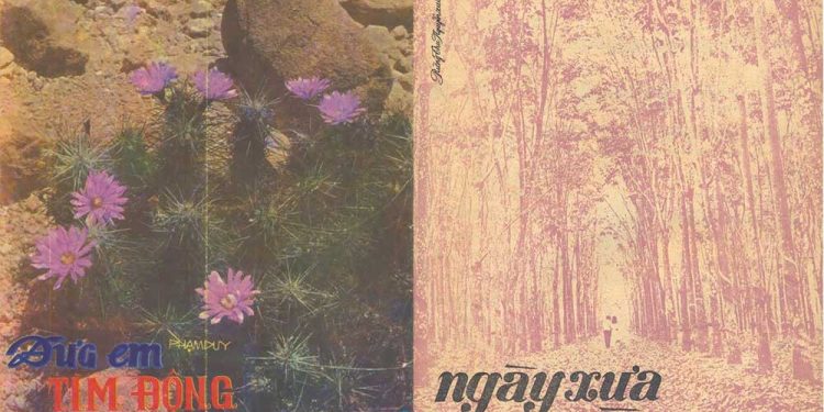 Phạm Thiên Thư và những bài thơ tình của kẻ theo thiền đạo