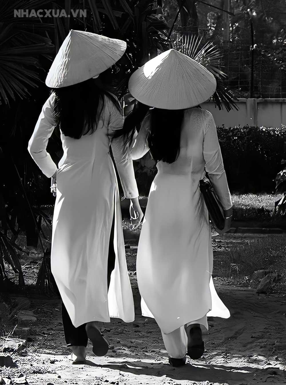 Nhạc vàng và chiếc nón lá đã trở thành một bức tranh văn hóa của Việt Nam. Hãy lắng nghe những ca khúc trữ tình và cảm nhận với chiếc nón lá thật bình yên và thanh bình trên màn hình của bạn. Hình ảnh này sẽ mang đến cho bạn sự yên bình và thư giãn.