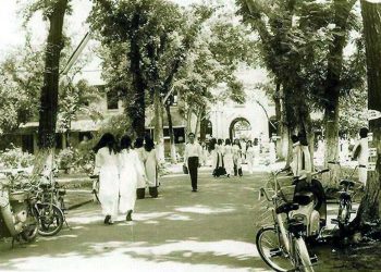 Ca khúc Kỷ Niệm Một Mùa Hè (nhạc sĩ Song Ngọc) và nỗi buồn “giấy thơm học trò”