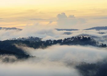 Nhạc sĩ Văn Cao và những ca khúc “thoát tục”: Thiên Thai, Suối Mơ