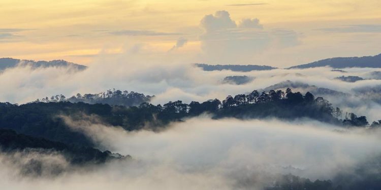 Nhạc sĩ Văn Cao và những ca khúc “thoát tục”: Thiên Thai, Suối Mơ