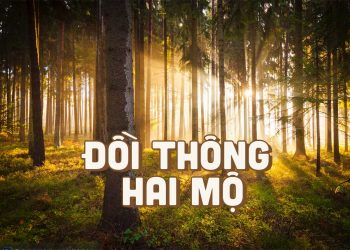 Ca khúc “Đồi Thông Hai Mộ” (nhạc sĩ Hồng Vân) và sự tích chuyện tình Hồ Than Thở