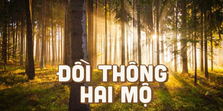 Ca khúc “Đồi Thông Hai Mộ” (nhạc sĩ Hồng Vân) và sự tích chuyện tình Hồ Than Thở
