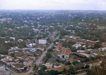 Nguồn gốc tên gọi “Ngã 5 Chuồng Chó” ở Gò Vấp và câu chuyện về những chú “quân khuyển” xưa