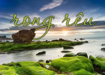 Nhạc sĩ Nguyễn Tâm và ca khúc Rong Rêu – “Chỉ vì yêu em nên anh vất vả…”