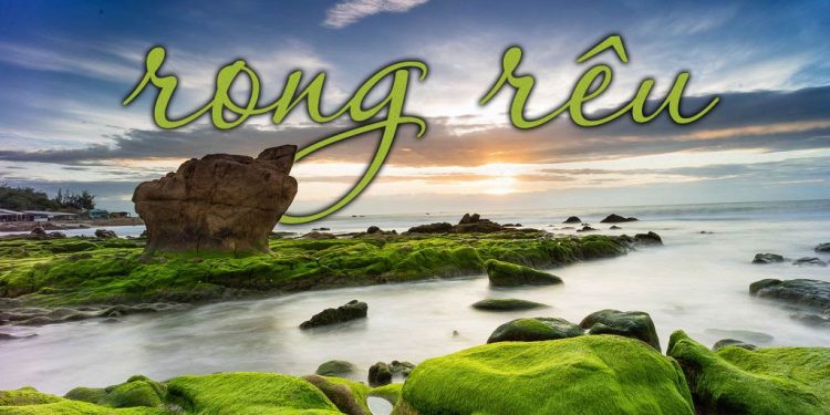 Nhạc sĩ Nguyễn Tâm và ca khúc Rong Rêu – “Chỉ vì yêu em nên anh vất vả…”