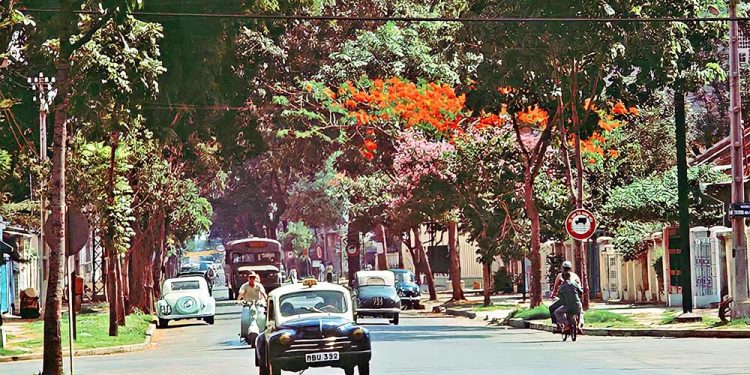 Tuyển chọn những hình ảnh Sài Gòn xưa rợp bóng cây xanh