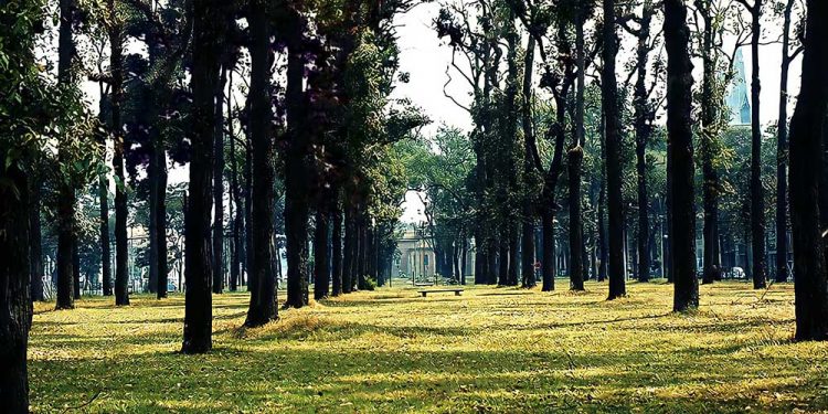 Tuyển chọn những hình ảnh Sài Gòn xưa rợp bóng cây xanh