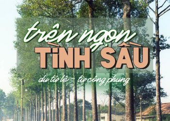 Câu chuyện đằng sau bài nhạc phổ thơ “Trên Ngọn Tình Sầu” (Từ Công Phụng – Du Tử Lê)