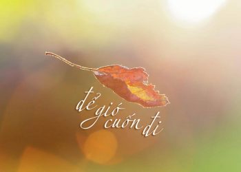 Ca khúc “Để Gió Cuốn Đi” của Trịnh Công Sơn: “Sống trong đời sống cần có một tấm lòng…”