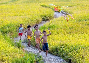 Câu chuyện về bài hát Quê Hương (Giáp Văn Thạch – Đỗ Trung Quân) qua lời kể của tác giả: Quê hương là chùm khế ngọt…