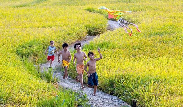 Quê Hương: Những hình ảnh về quê hương luôn khiến con người cảm thấy xúc động và tự hào. Hãy cùng khám phá những vẻ đẹp tuyệt vời của quê hương Việt Nam qua bức ảnh này.