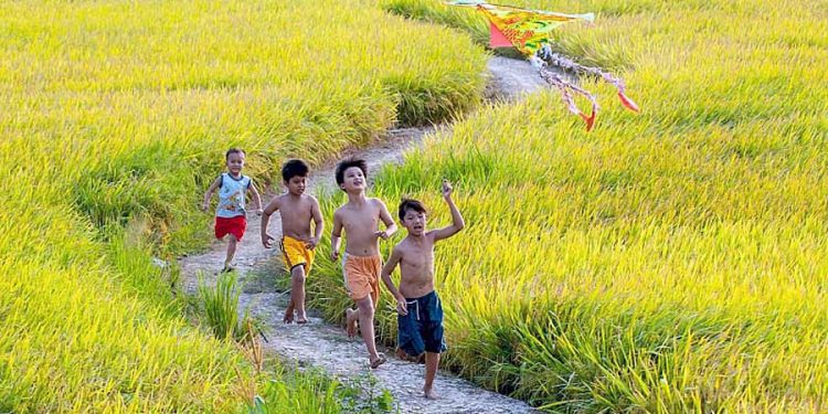 Câu chuyện về bài hát Quê Hương (Giáp Văn Thạch – Đỗ Trung Quân) qua lời kể của tác giả: Quê hương là chùm khế ngọt…