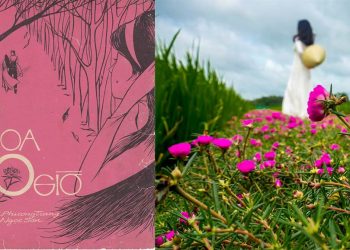 Hoàn cảnh sáng tác ca khúc Hoa Mười Giờ (Đài Phương Trang) – “Thương phận con gái như hoa mười giờ nở…”