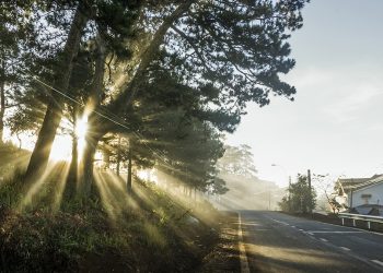 Ca khúc “Mùa Đông Sắp Đến Trong Thanh Phố” (Đức Huy) và nỗi buồn cô đơn lộng lẫy của một thời tuổi trẻ