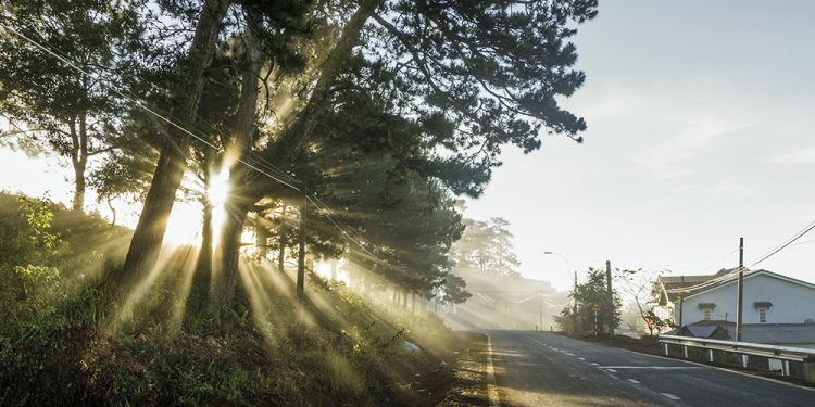 Ca khúc “Mùa Đông Sắp Đến Trong Thanh Phố” (Đức Huy) và nỗi buồn cô đơn lộng lẫy của một thời tuổi trẻ