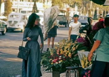 Cảm nhận âm nhạc: Màu Xanh Noel (Nguyễn Văn Đông) – Màu xanh hy vọng của Giáng sinh xưa