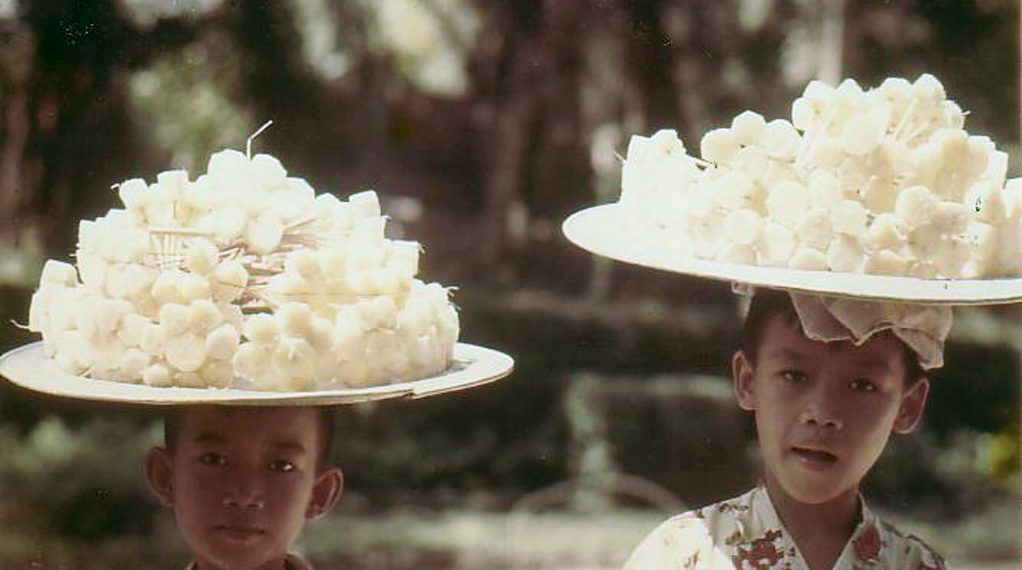 Mía ghim – Ngọt ngào hương vị của tuổi thơ