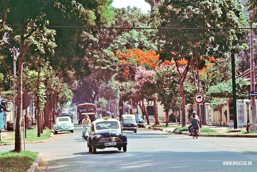 Đường phố Saigon không chỉ là nơi để đi lại mà còn là nơi để khám phá văn hóa và lịch sử đặc trưng của thành phố. Những con đường phố sầm uất và đầy màu sắc sẽ khiến bạn bị thu hút ngay lập tức. Hãy cùng xem hình ảnh để tận hưởng những khoảnh khắc độc đáo trên đường phố Sài Gòn.