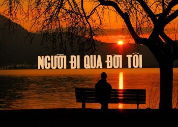 Hoàn cảnh sáng tác và cảm nhận về ca khúc “Người Đi Qua Đời Tôi” (Trần Dạ Từ – Phạm Đình Chương) – Thất tình ca một thuở