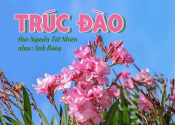 Hoàn cảnh sáng tác bài thơ – nhạc nổi tiếng “Trúc Đào” của Nguyễn Tất Nhiên và nhạc sĩ Anh Bằng – Chiều xưa có ngọn trúc đào…