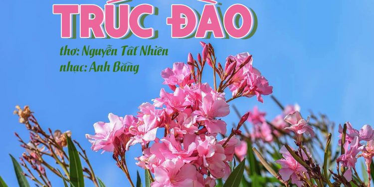 Hoàn cảnh sáng tác bài thơ – nhạc nổi tiếng “Trúc Đào” của Nguyễn Tất Nhiên và nhạc sĩ Anh Bằng – Chiều xưa có ngọn trúc đào…