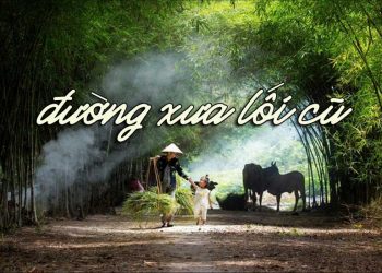 Ca khúc Đường Xưa Lối Cũ (nhạc sĩ Hoàng Thi Thơ) và nỗi lòng người ly hương
