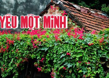 Cảm nhận về ca khúc Yêu Một Mình (Trịnh Lâm Ngân) – Ngày xưa tiếc sao mình không ngỏ?