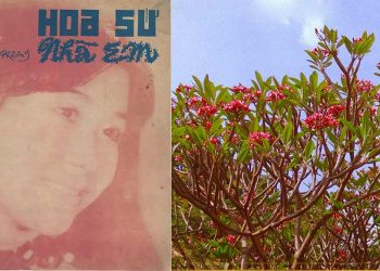 Hoa Sứ Nhà Nàng – Bài nhạc vàng nổi tiếng nhất trong nước thập niên 1980
