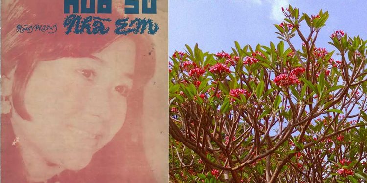 Hoa Sứ Nhà Nàng – Bài nhạc vàng nổi tiếng nhất trong nước thập niên 1980