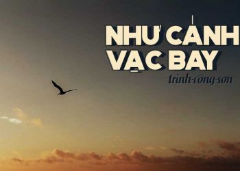 “Như Cánh Vạc Bay” (Trịnh Công Sơn) – Bài hát về tình yêu thuần khiết dành cho một người tình xa