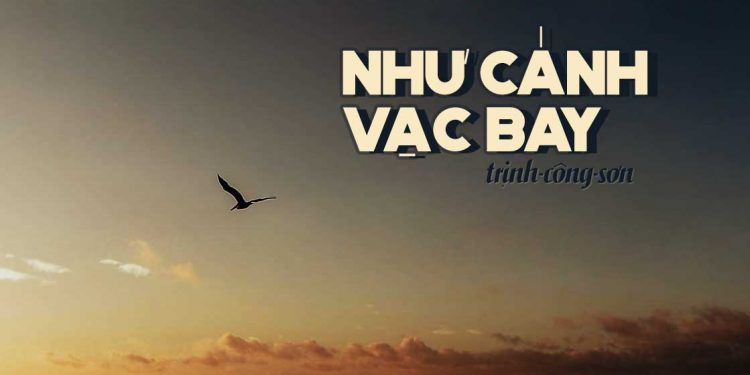 “Như Cánh Vạc Bay” (Trịnh Công Sơn) – Bài hát về tình yêu thuần khiết dành cho một người tình xa